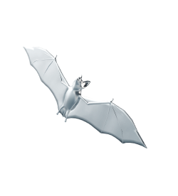 bat